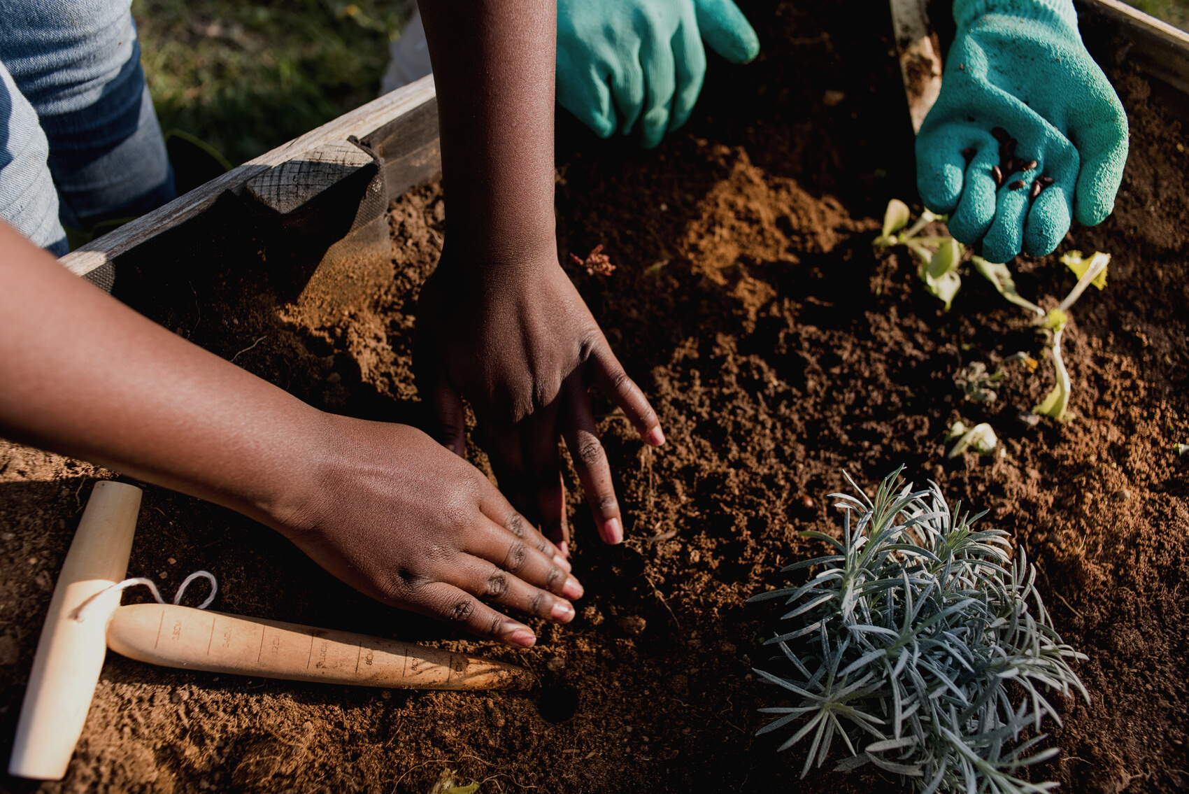 Children Planting Seeds in the Garden